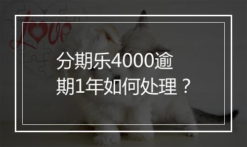 分期乐4000逾期1年如何处理？