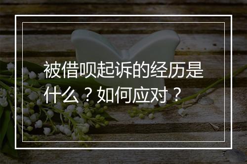 被借呗起诉的经历是什么？如何应对？