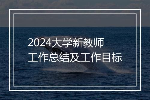 2024大学新教师工作总结及工作目标