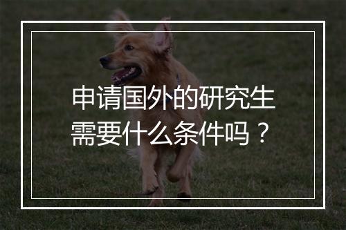 申请国外的研究生需要什么条件吗？