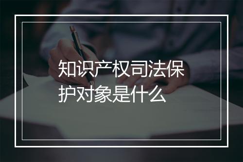 知识产权司法保护对象是什么