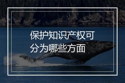 保护知识产权可分为哪些方面