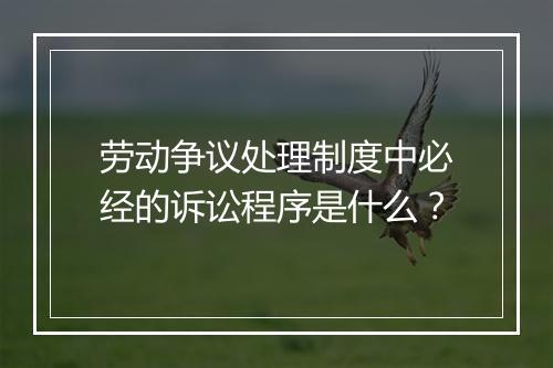 劳动争议处理制度中必经的诉讼程序是什么？