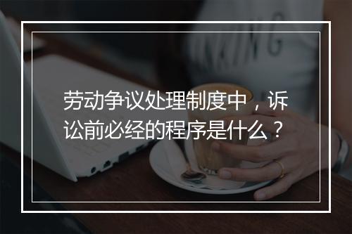 劳动争议处理制度中，诉讼前必经的程序是什么？