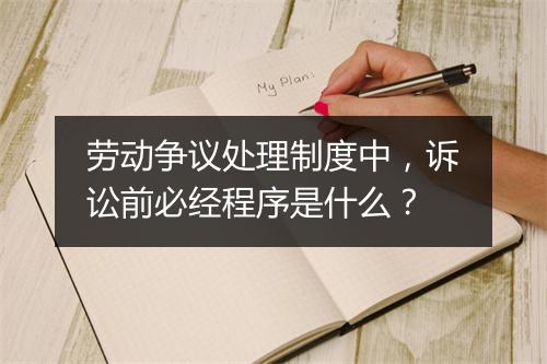 劳动争议处理制度中，诉讼前必经程序是什么？