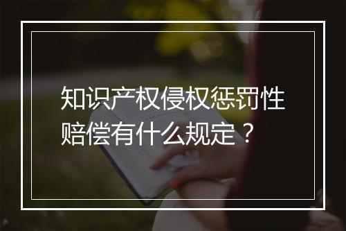 知识产权侵权惩罚性赔偿有什么规定？