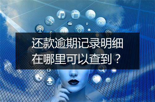 还款逾期记录明细在哪里可以查到？
