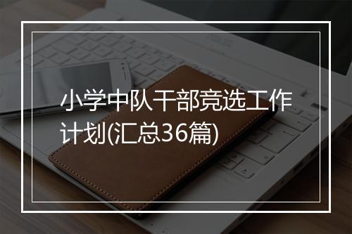 小学中队干部竞选工作计划(汇总36篇)