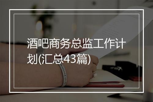 酒吧商务总监工作计划(汇总43篇)