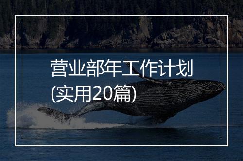 营业部年工作计划(实用20篇)
