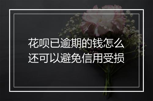 花呗已逾期的钱怎么还可以避免信用受损