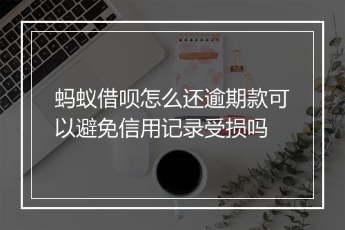 蚂蚁借呗怎么还逾期款可以避免信用记录受损吗