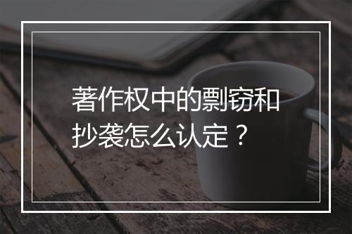 著作权中的剽窃和抄袭怎么认定？