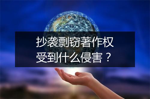抄袭剽窃著作权受到什么侵害？