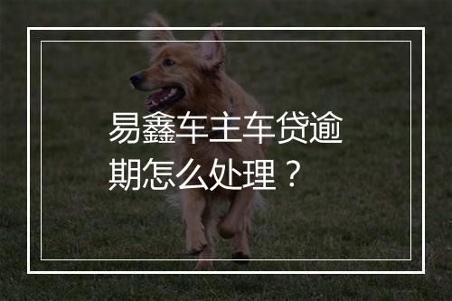 易鑫车主车贷逾期怎么处理？