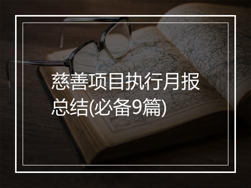慈善项目执行月报总结(必备9篇)