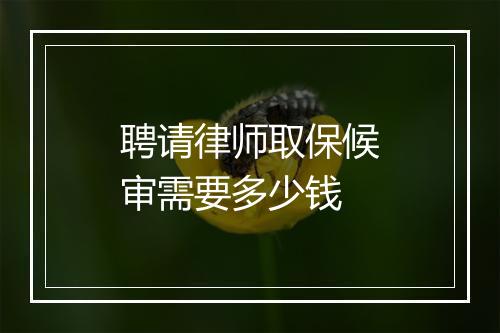 聘请律师取保候审需要多少钱