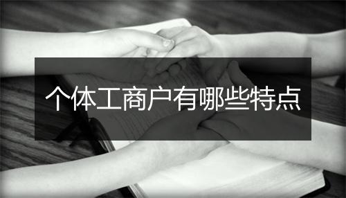 个体工商户有哪些特点