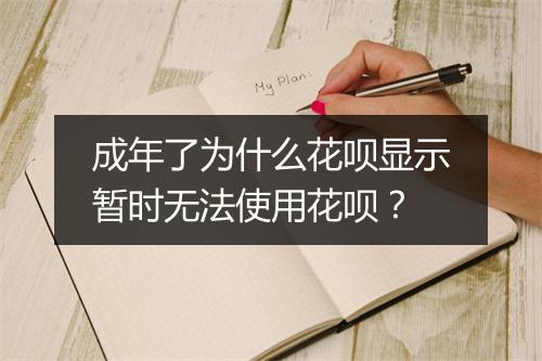 成年了为什么花呗显示暂时无法使用花呗？