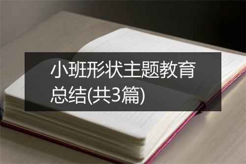 小班形状主题教育总结(共3篇)