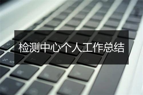 检测中心个人工作总结