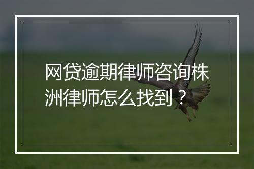 网贷逾期律师咨询株洲律师怎么找到？