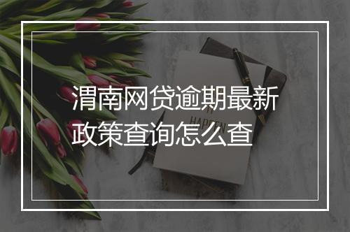 渭南网贷逾期最新政策查询怎么查