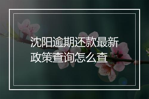 沈阳逾期还款最新政策查询怎么查