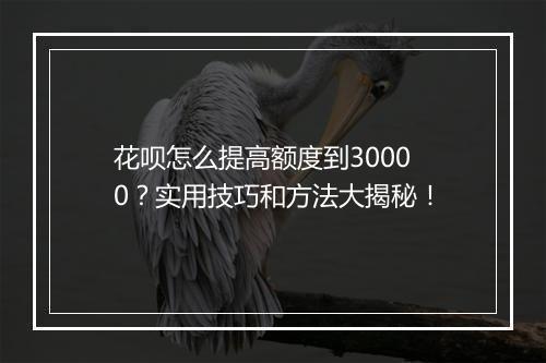 花呗怎么提高额度到30000？实用技巧和方法大揭秘！