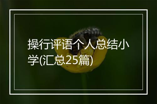 操行评语个人总结小学(汇总25篇)