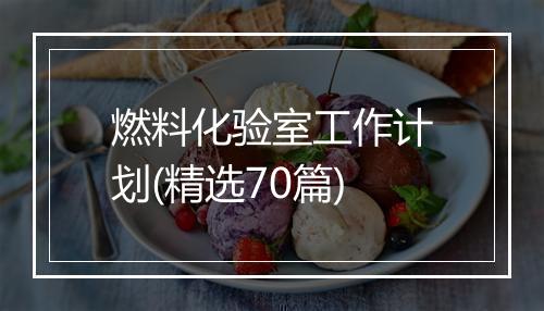 燃料化验室工作计划(精选70篇)