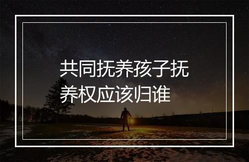 共同抚养孩子抚养权应该归谁