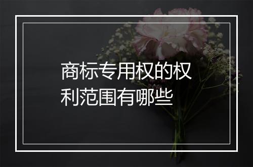 商标专用权的权利范围有哪些