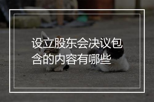 设立股东会决议包含的内容有哪些