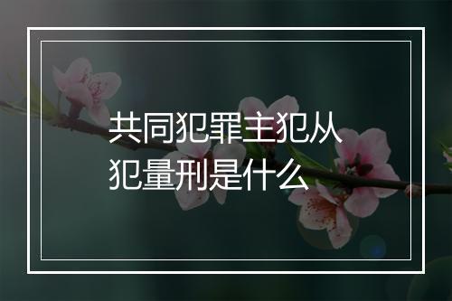 共同犯罪主犯从犯量刑是什么