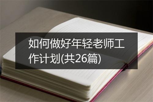 如何做好年轻老师工作计划(共26篇)