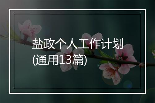 盐政个人工作计划(通用13篇)