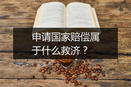 申请国家赔偿属于什么救济？