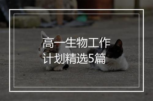 高一生物工作计划精选5篇