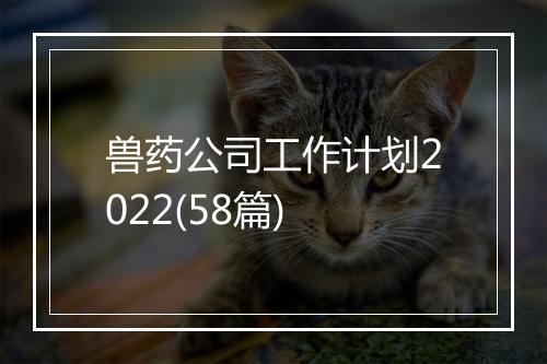 兽药公司工作计划2022(58篇)