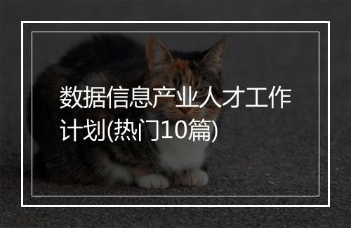 数据信息产业人才工作计划(热门10篇)