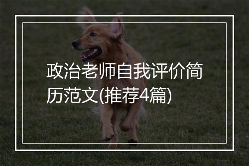 政治老师自我评价简历范文(推荐4篇)