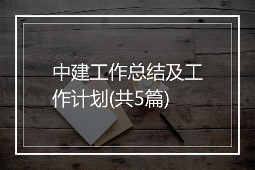 中建工作总结及工作计划(共5篇)