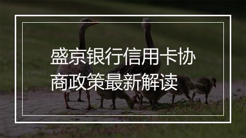 盛京银行信用卡协商政策最新解读
