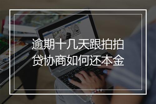 逾期十几天跟拍拍贷协商如何还本金