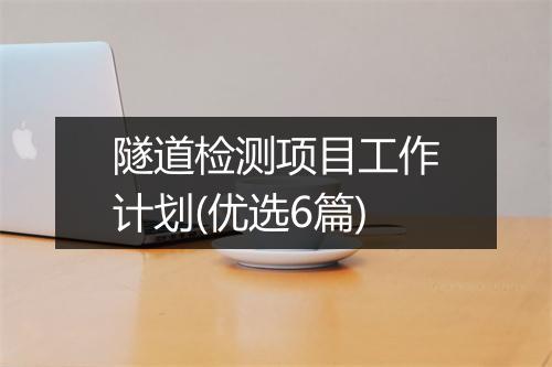 隧道检测项目工作计划(优选6篇)