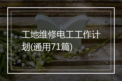 工地维修电工工作计划(通用71篇)