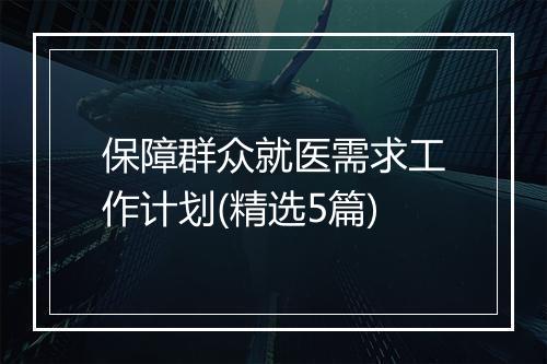 保障群众就医需求工作计划(精选5篇)