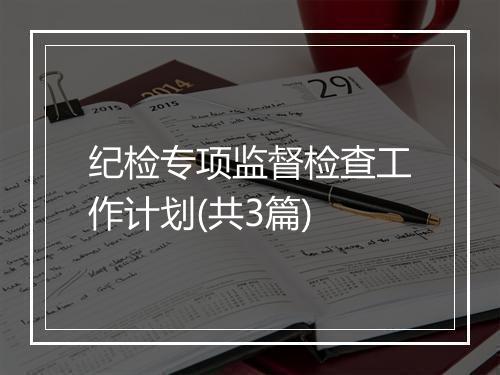 纪检专项监督检查工作计划(共3篇)