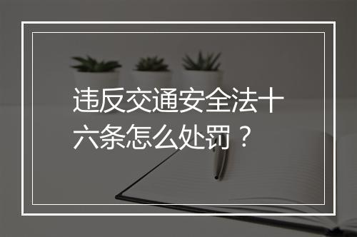 违反交通安全法十六条怎么处罚？